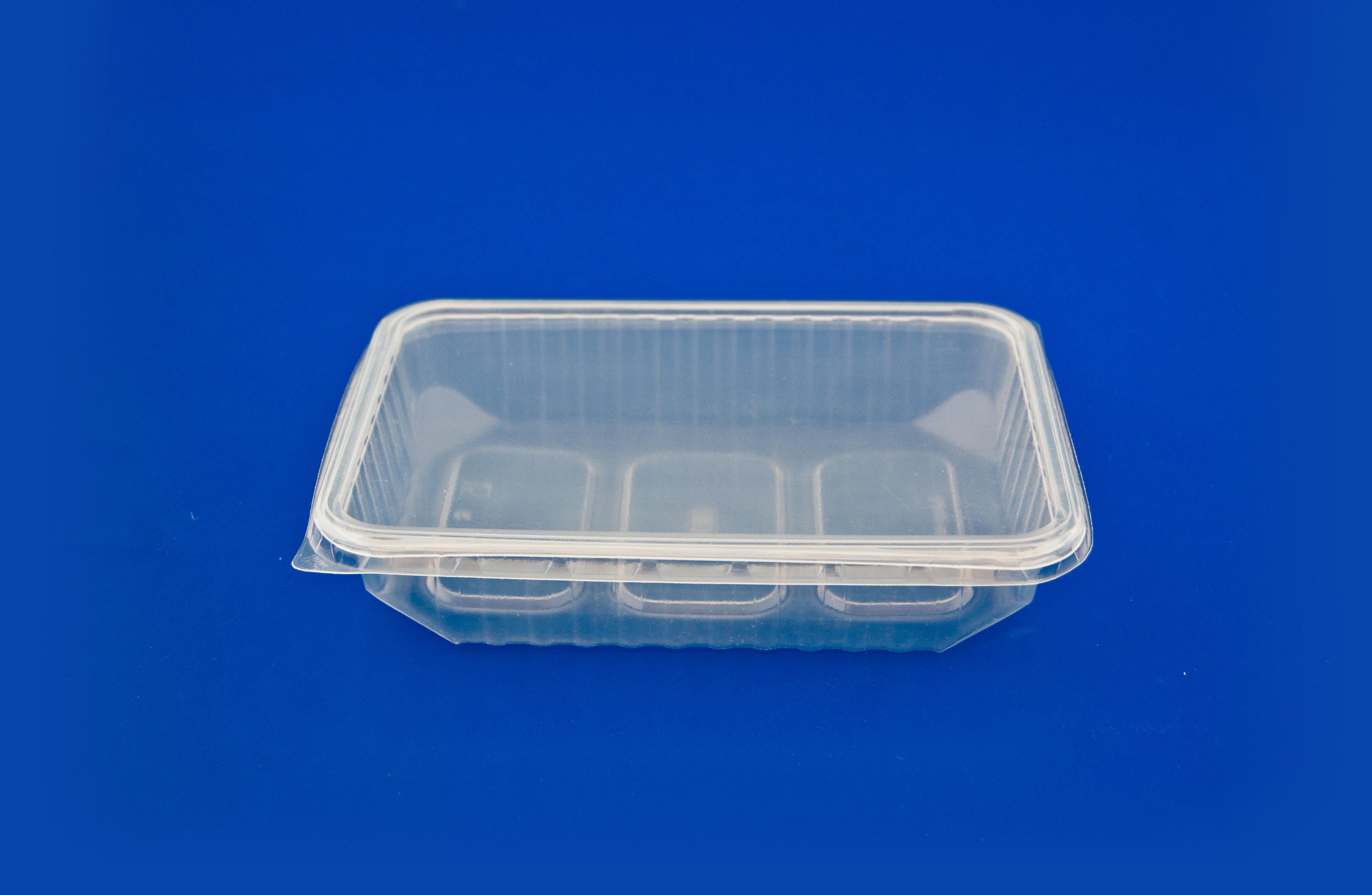 Пищевой пластиковый контейнер