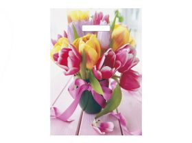 Пакет 29х40 Шотландка АРТ /20уп х 50шт/ — UPAKMARKET