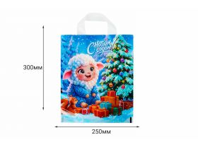 Пакет ПВД 25х30 "Презент" 60мкм МП /40уп х 25шт/ — UPAKMARKET