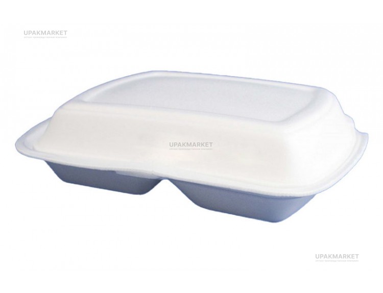 Ланч бокс LBE-2 белый /249х207х61/ Протек — UPAKMARKET