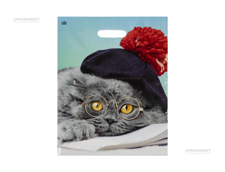 _Пакет Тико 31х40 "Кот ученый " глянец. — UPAKMARKET