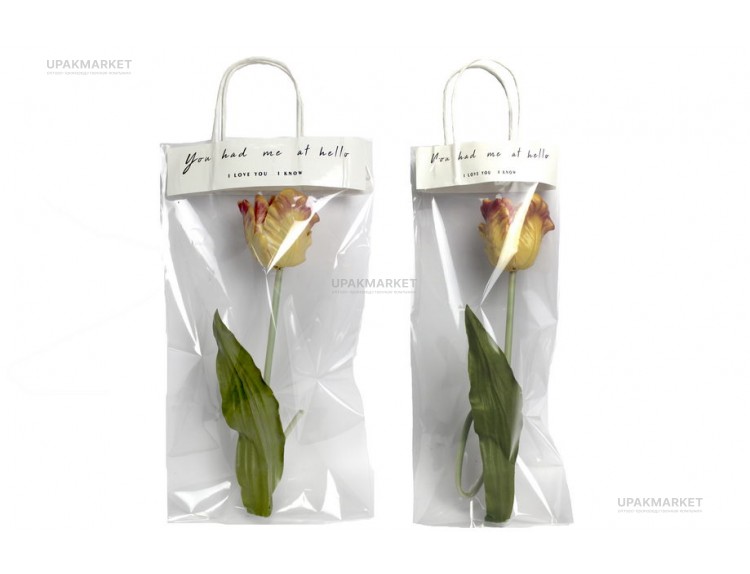 Коробка-Пакет под цветы (1/20шт) М405 — UPAKMARKET