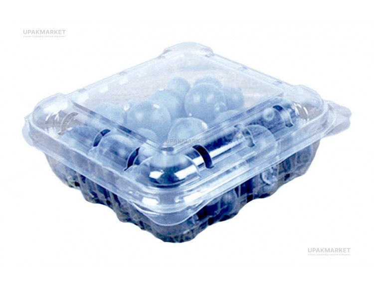 Контейнер прямоуг.с крышкой ПР-РКФ-125 (ПЭТ) — UPAKMARKET