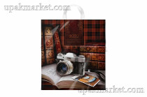 Пакет с петлевой ручкой ПНД 38х42 "Библиотека" Интерпак /20уп х 25шт/