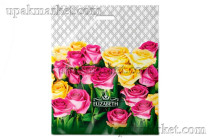 Пакет 50х60 Элизабет Интерпак /5уп х 50шт/