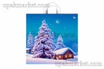 Пакет НГ с петлевой ручкой 42х44см "Ночь перед Рождеством" 70мкм ПВД Тико /6уп х 50шт/