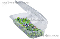 Емкость ПР-К-40 233х90х78 Протек